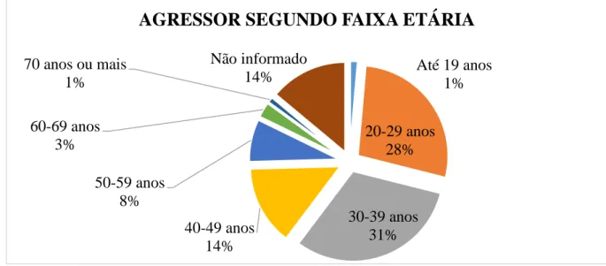 Gráfico 2: Agressor segundo faixa etária, com base nos 275 casos analisados, cadastrados no Juizado de  Violência Doméstica e Familiar contra a Mulher na Comarca de Jataí/GO, no período de julho de 2016 a 