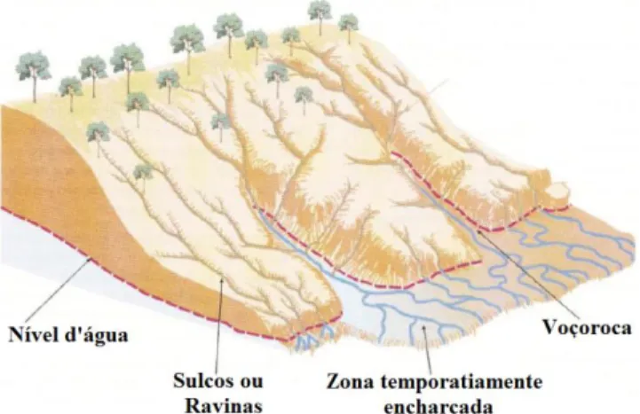 Figura 1. Morfologia das feiçoes erosivas (Modificado de KARMANN, 2003). 
