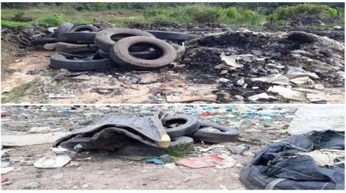 Figura 6 – Pneus descartados inadequadamente no lixão da cidade de Capanema, Pará. 