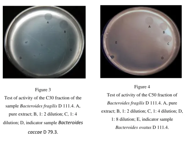 Table 2. Characterization of fractions C30 and C50 obtained from the sample Bacteroides fragilis D 111.4