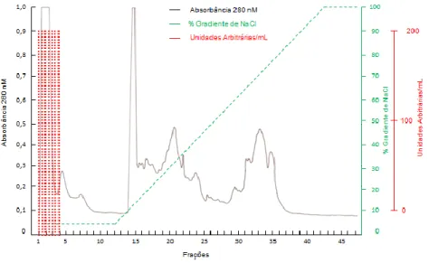 FIG 8. Ion exchange chromatographic of C50, intracellular fraction precipitated with 50% of ammonium sulfate, in Mono- Mono-Q  TM  column, coupled in FPLC system