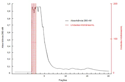 FIG. 10. Gel filtration profile of pool 1 (fractions 1 to 4) from ion exchange chromatography using Superose 12 column  coupled to FPLC system