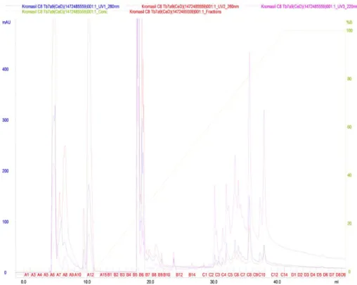 FIG 11.   Reverse phase chromatographic profile of pool 2 (fractions 2 and 3) from gel filtration chromatography using  C8 column coupled to HPLC system