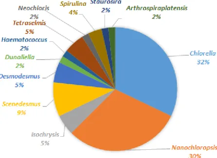 Figura 1: Levantamento de espécies de microalgas mais utilizadas para diversas finalidades