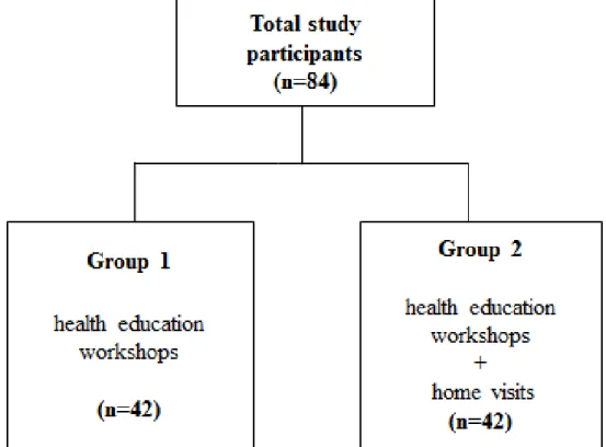 Figure 1: Formation of groups according to the types of intervention, 2016. 