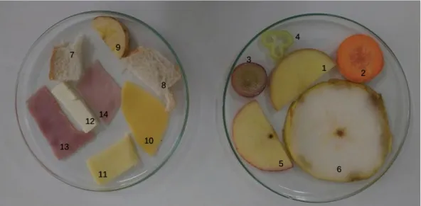 Figura 3. Porções de cada alimento nas placas de Petri 