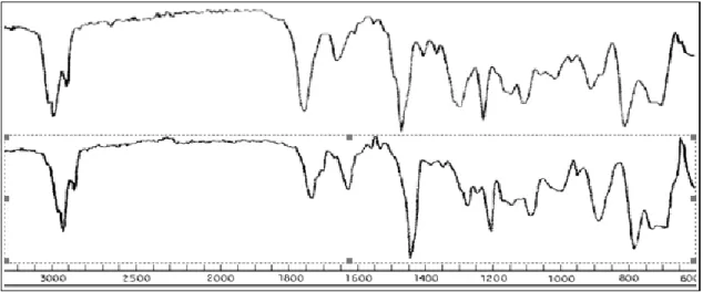 Figura 1 - Espectros de IR do produto (EB3, superior.) e de uma amostra comercial (inferior)