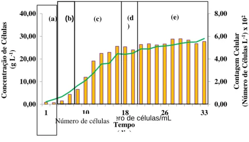 Figura 9 - Perfil de crescimento da microalga C. minutissima durante 33 dias de cultivo em meio F/2 considerando a  média das triplicatas (a) fase de adaptação celular, (b) fase de aceleração do crescimento (c) crescimento exponencial  (d) fase de desacele