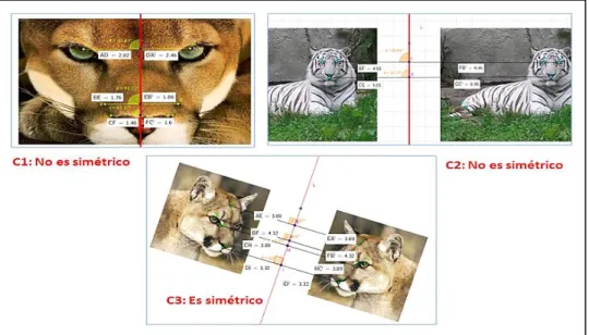 Figura 14. Solución de la actividad 2C 