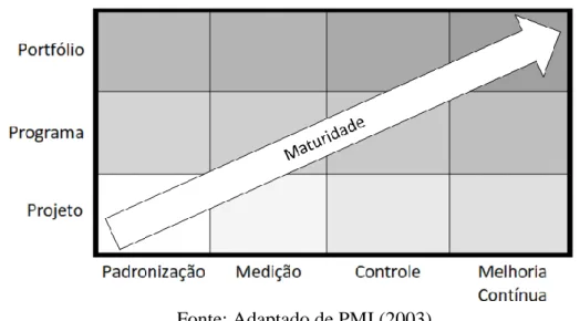 Figura 5: Crescimento da maturidade em gestão de projetos organizacionais. 