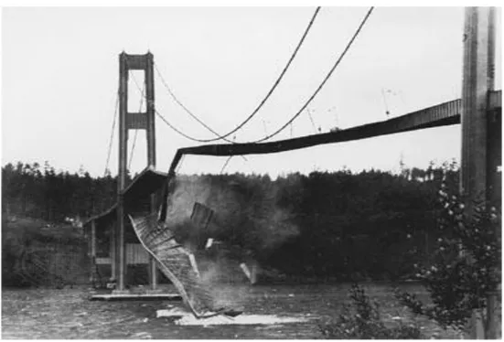 Figura 2: Desestruturação do vão e queda da ponte. 