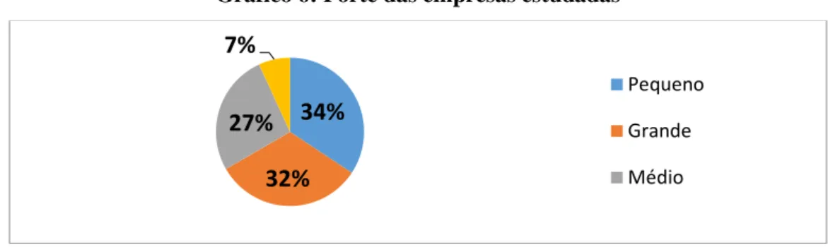 Gráfico 6: Porte das empresas estudadas 