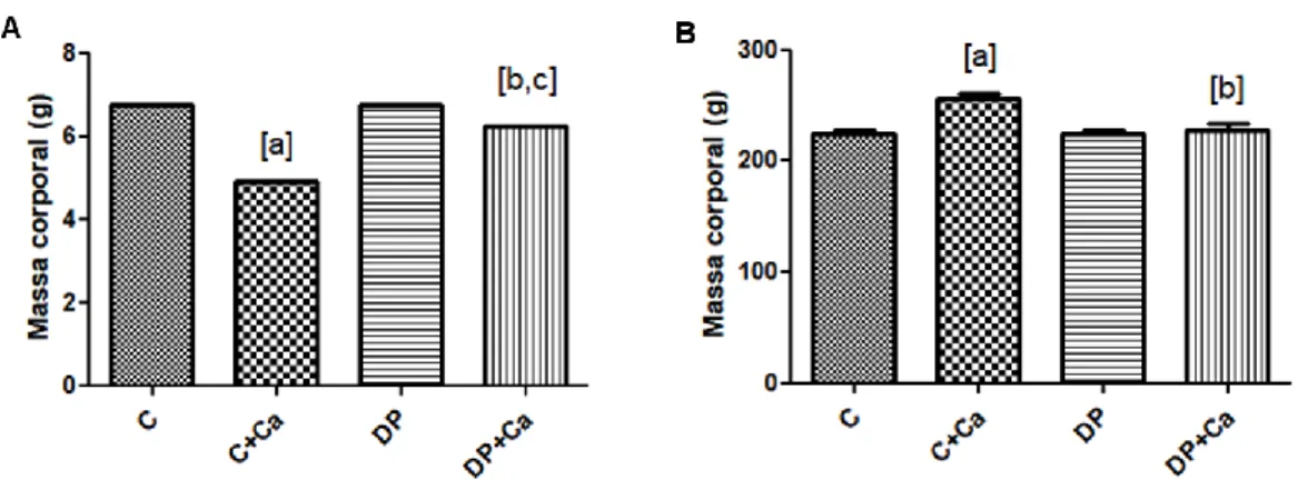 Figura 2. Massa corporal inicial (A) e massa corporal final (B) dos animais (n=6/grupo)