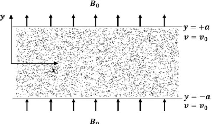 Figure 1 – Conceptual physical model of MHD blood flow through a porous blood channel