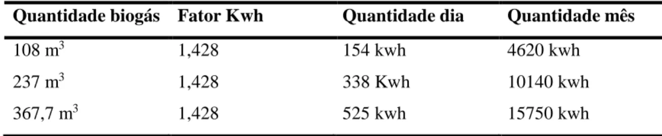 Tabela 8: Produção de energia a partir do biogás produzido pelos eqüinos. 