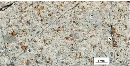 Figura 5  Fotomicrografias do aspecto  geral (acima) e de detalhe (abaixo)  do meteorito de Guaçuí-ES, com seus  minerais transparentes e opacos