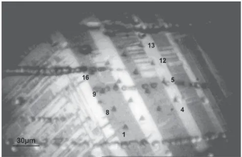 Figura 1 - Mapeamento das imagens coletadas utilizando microscopia óptica acoplado ao  Nanoindententador