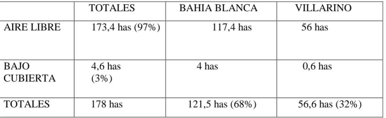 Tabla 2 – Sistemas de producción en Bahía Blanca y Villarino 