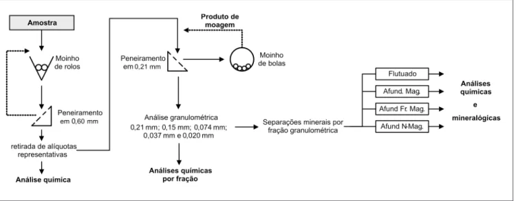 Figura 1 - Fluxograma do procedimento experimental.