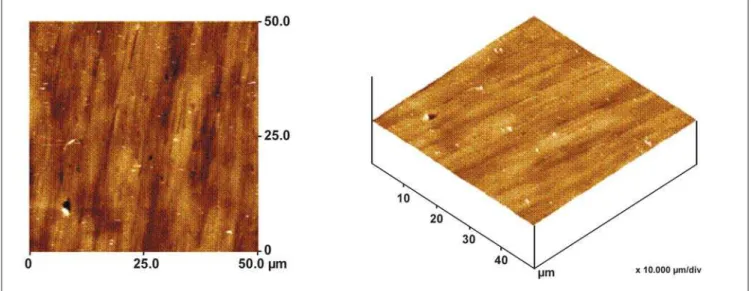 Figura 2 - Microscopia de força atômica do aço 430 sem recobrimento cerâmico.