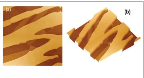 Figura 2 - Imagens da superfície do aço inoxidável dúplex envelhecido e atacado (60 µm x 60 µm x 1,5 µm): (a) 2D; (b) 3D.
