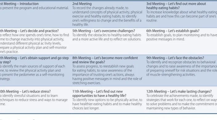TABLE 1 –  Presentation of the objectives of each VAMOS Program meeting. Florianópolis, Brazil, 2015.