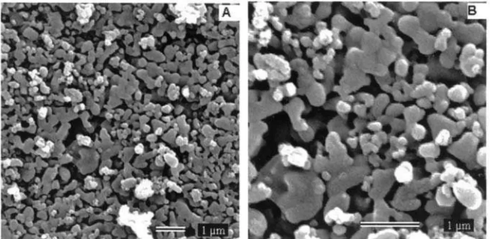 Figura 4 - Micrografias eletrônica de varredura das matrizes sinterizadas de HA tiradas do topo: (a) aumento de 10.000 vezes; (b) aumento de 20.000 vezes.