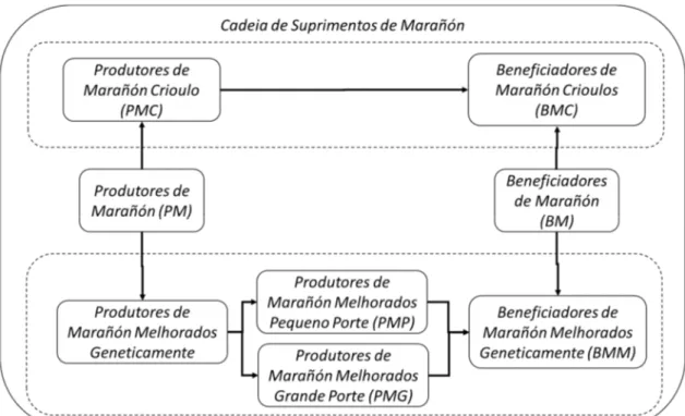 Figura 10 – Cadeias de Suprimentos de Marañón – Elos. 