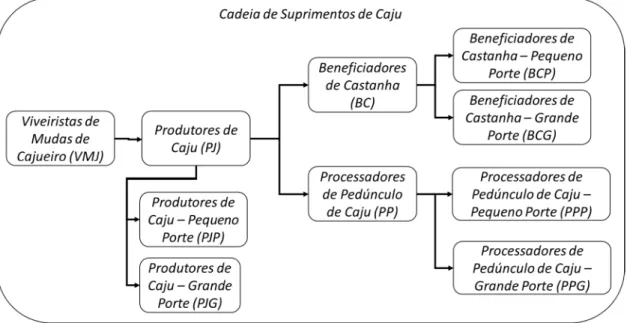Figura 8 – Cadeias de Suprimentos de Caju – Elos. 