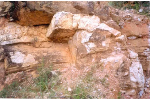 Figura 4 - Detalhe do veio de quartzo discordante (embaixo a direita da foto) passando a concordante (parte superior) à foliação e acamamento do quartzito São João da Chapada.