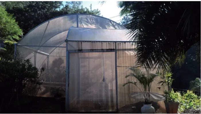 Figure 1 – Greenhouse where the experiment was conducted, located in the seedling nursery at the Federal Institute  of Education, Science and Technology of South of Minas Gerais (IFSULDEMINAS) – Inconfidentes campus.