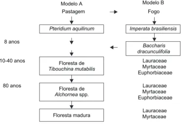 Fig. 3 — Modelos de sucessão secundária em uma floresta Atlântica montana após corte e queima.