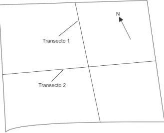 Fig. 1 — Croqui da Mata do Pomar mostrando a localização dos dois transectos.