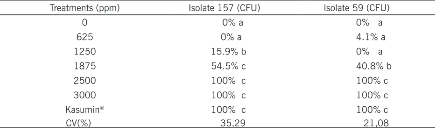 Table 1 – Effect of different concentrations of Bayfolan ®  copper and Kasumin ®  antibiotic on growth of two  isolates of Pseudomonas syringae pv