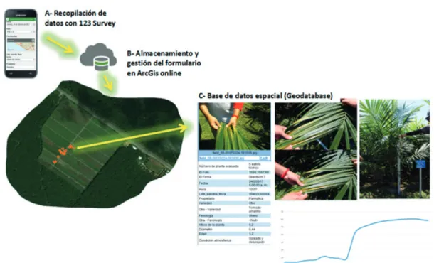 Figura 3 – Diseño e implementación de la base de datos espaciales de las firmas espectrales.