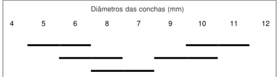 Fig. 3 — Teste de Newman-Keuls em nível crítico de significância (0,05), do comprimento do ovoteste de B