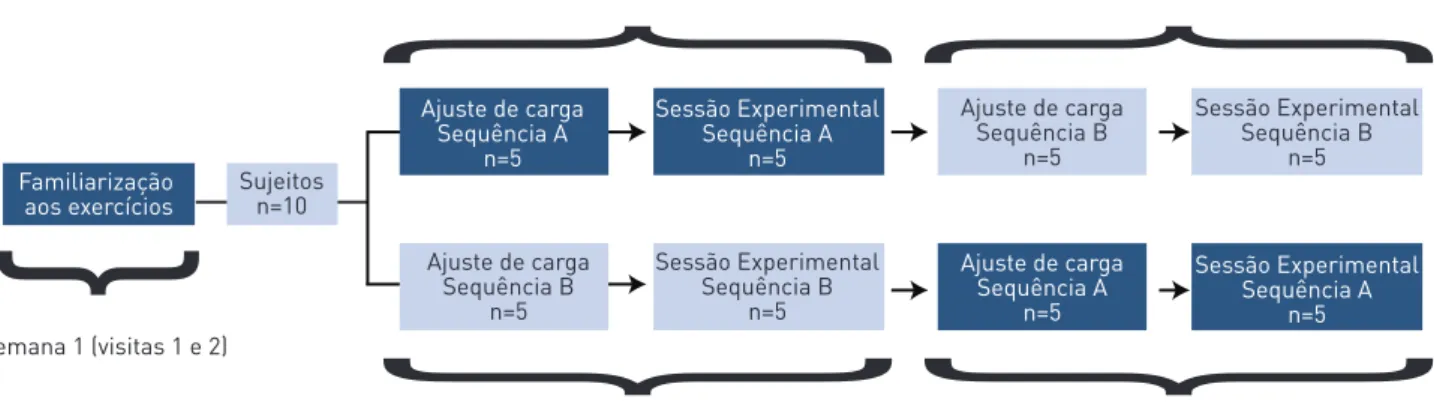 FIguRa 1 –  Delineamento experimental.