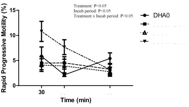 Figure 1. Effect of the in vitro addition of docosahexaenoic acid (DHA) and insulin-like growth factor-I (IGF-I)  after thawing on rapid progressive motility of stallion spermatozoa (n=3)