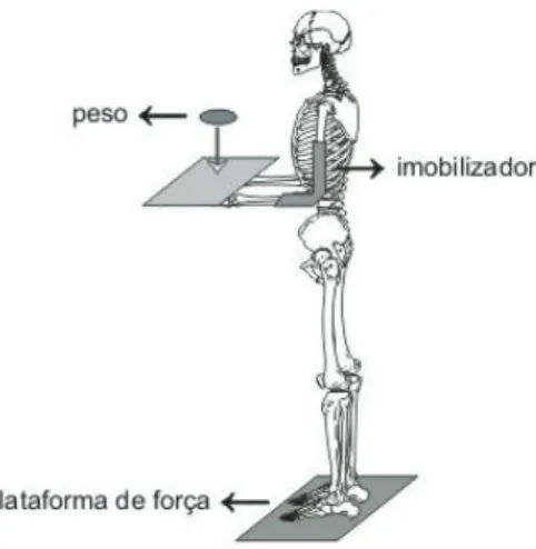 FIguRa 1 –  Representação do teste de perturbação de equilíbrio 