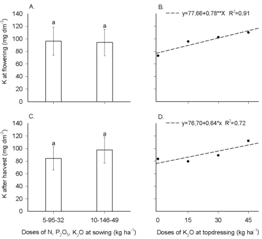 Figure 1. Soil K contents in the flowering phase and after harvest, on the basis of NPK rates in sowing  fertilization (A and C) and K 2 O at topdressing (B and D) in soybean crop