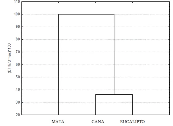 Figura 5. Dendrograma apresentando a distância de ligação referente às diferentes áreas estudadas na região  de Jacutinga (MG), 2015