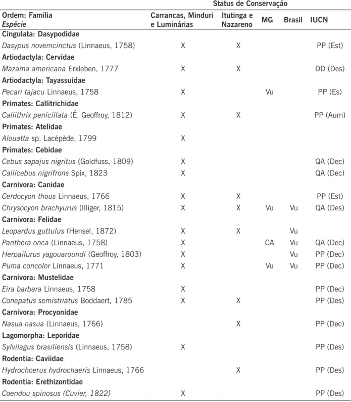 Tabela 1. Lista de espécies registradas neste estudo e respectivos status de conservação.