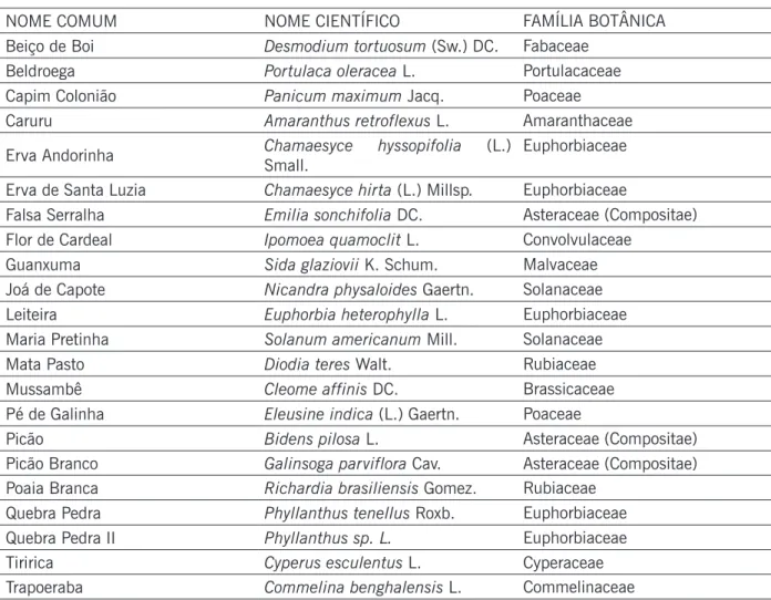 Tabela 1. Espécies de plantas identificadas na primeira e segunda avaliação.