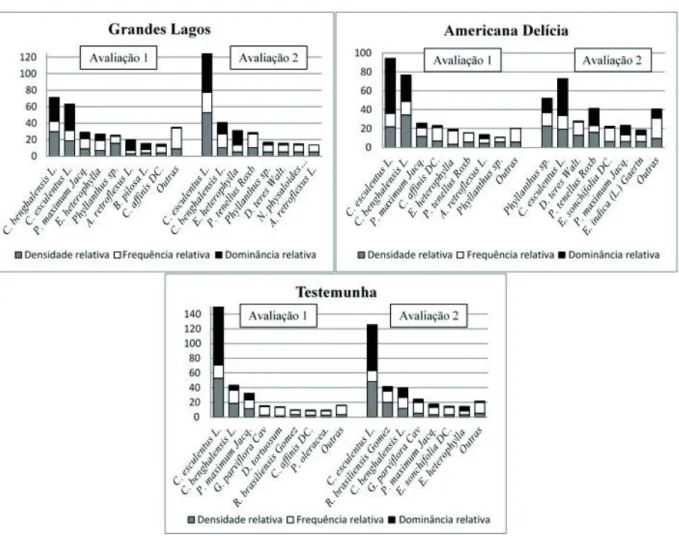 Figura 4. Densidade relativa (DR), frequência relativa (FR), dominância relativa (DoR) de plantas daninhas em  cultivares de alface do grupo americana