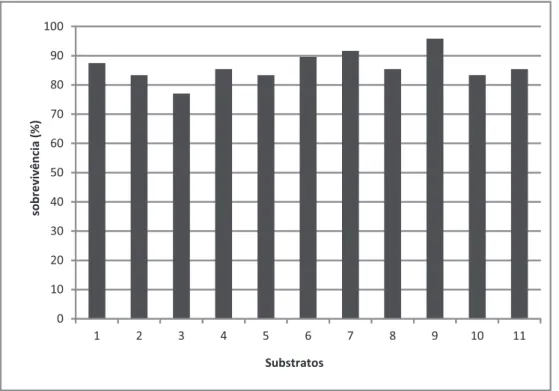 Figura 1: Porcentagem de sobrevivência das estacas de Eucalyptus “urograndis” em substratos com diferentes  concentrações de lodo de ETA.