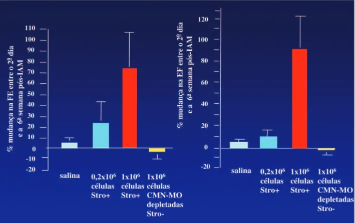 Figura 1 - A neovascularização miocárdica dependente de STRO-1 bright  resulta na melhoria integral dos parâmetros da função miocárdica