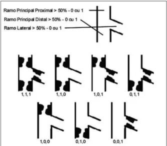 Figura 1 - Classificação de Medina et al. 7 .