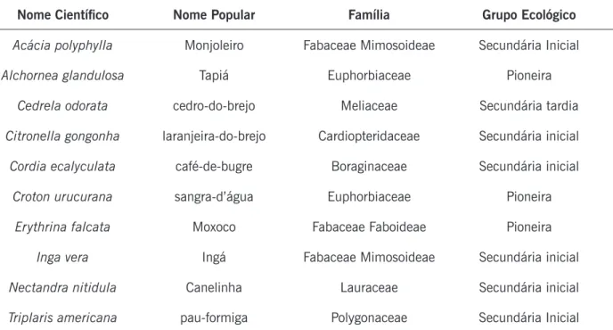 Tabela 1. Nomes científicos, nomes populares, famílias e grupos ecológicos das espécies plantadas  no experimento.