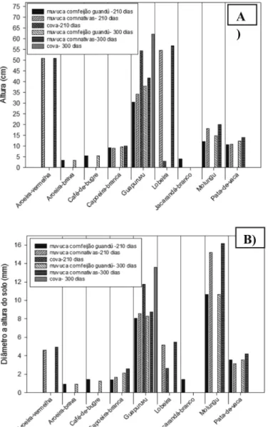 Figura 4. Avaliação dos parâmetros silviculturais para a semeadura direta A) Desenvolvimento da  altura (H);  B) Desenvolvimento do diâmetro altura do solo (DAS).