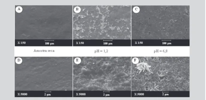 FIGURA 5 – Micrografias obtidas por meio de MEV do filme de Eudragit ®  RS 30 D: Pect-TMFT: Bioecolians ® , 70: 20: